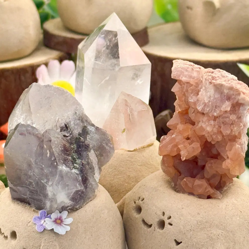 A Little Daily Joy  Handmade Crystal Pet Shinepurity