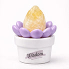 Crystal Lotus Wisdom Pot — Mini Crystal Desk Decor Shinepurity