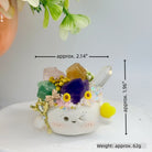 A Little Crystal Pet Holding Spring Shinepurity