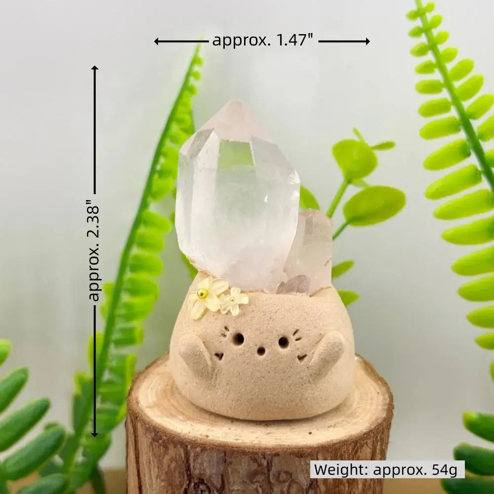 A Little Daily Joy  Handmade Crystal Pet Shinepurity