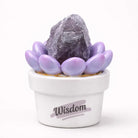 Crystal Lotus Wisdom Pot — Mini Crystal Desk Decor Shinepurity