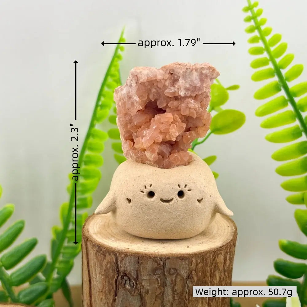 A Little Daily Joy  Handmade Crystal Pet Shinepurity
