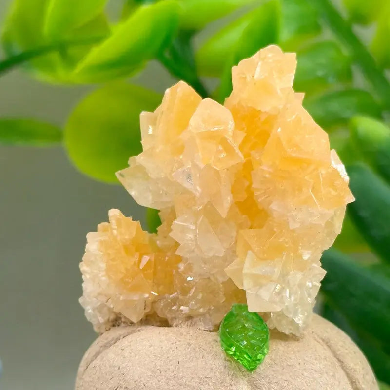 Magical Harvest Yellow Crystal Pumpkin Crystal Pet Shinepurity