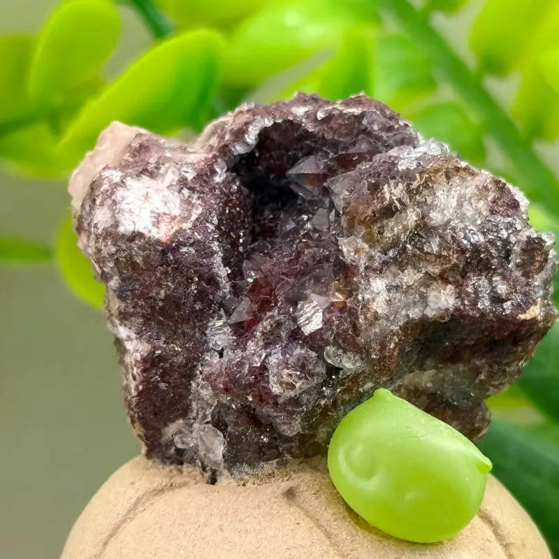 Passionate Guardian Moroccan Red Crystal Pumpkin Crystal Pet Shinepurity