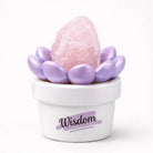 Crystal Lotus Wisdom Pot — Mini Crystal Desk Decor Shinepurity
