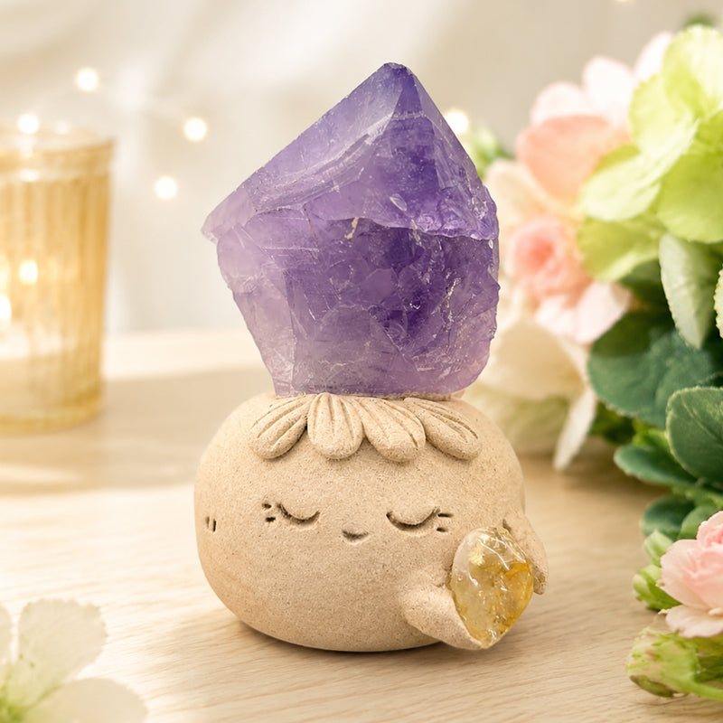 Amethyst Crystal Pet A Quiet Moment of Relaxation Shinepurity